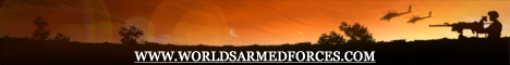 Banner for http://www.worldsarmedforces.com